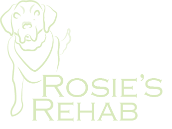 Rosie's Rehab Canine Physical Therapy
